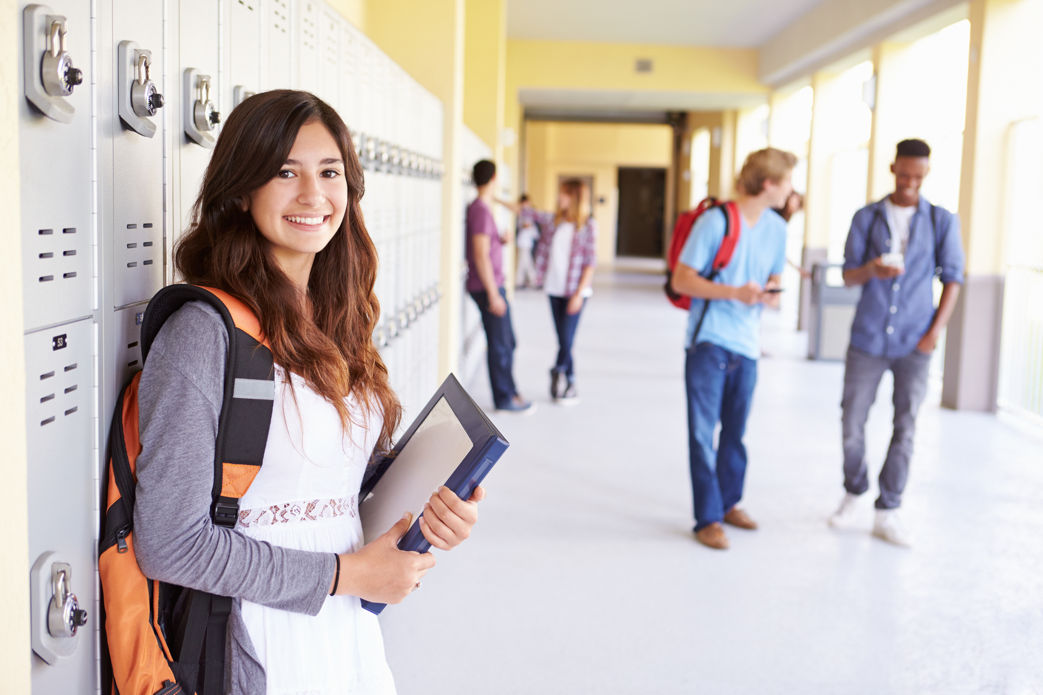 Novo Ensino Médio: O que preciso saber?